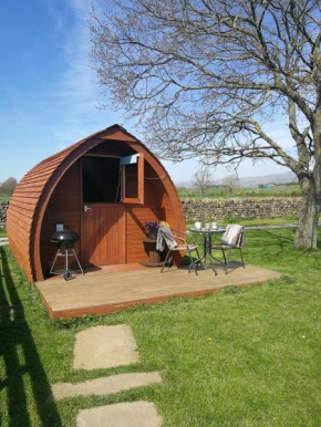 Sunny Mount Glamping Pod